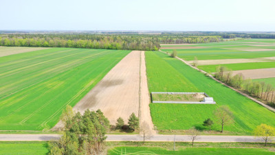 Działki w atrakcyjnych cenach blisko natury - Szczepankowo   -
podlaskie Zdjęcie nr 7