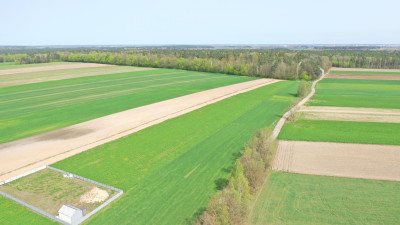 Działki w atrakcyjnych cenach blisko natury - Szczepankowo   -
podlaskie Zdjęcie nr 9