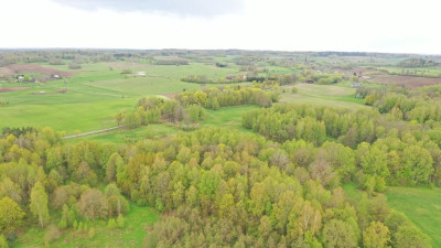Działka Rolna 777 ha Langanki - Langanki   -
warmińsko-mazurskie Zdjęcie nr 11