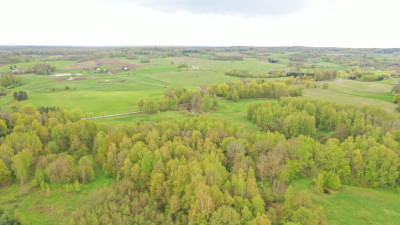 Działka Rolna 777 ha Langanki - Langanki   -
warmińsko-mazurskie Zdjęcie nr 12
