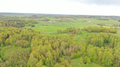 Działka Rolna 777 ha Langanki - Langanki   -
warmińsko-mazurskie Zdjęcie nr 13