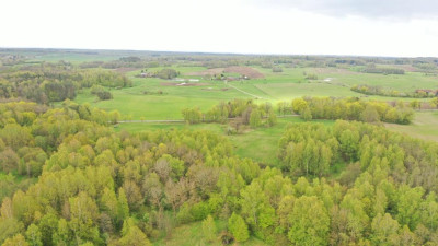 Działka Rolna 777 ha Langanki - Langanki   -
warmińsko-mazurskie Zdjęcie nr 14