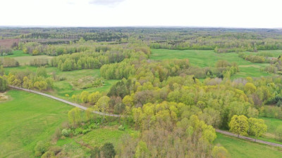 Działka Rolna 777 ha Langanki - Langanki   -
warmińsko-mazurskie Zdjęcie nr 6