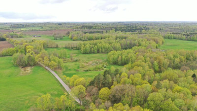 Działka Rolna 777 ha Langanki - Langanki   -
warmińsko-mazurskie Zdjęcie nr 7