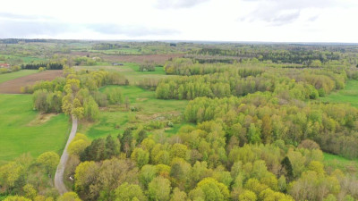 Działka Rolna 777 ha Langanki - Langanki   -
warmińsko-mazurskie Zdjęcie nr 8
