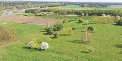 Działki budowlane w pobliżu rzeki - Nowogród   -
podlaskie Zdjęcie nr 2