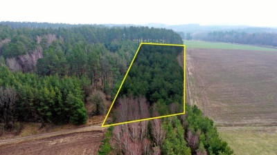 Działka rolna 7600 m2 Kocioł Duży - Kocioł Duży   -
warmińsko-mazurskie