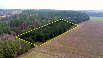 Działka rolna 7600 m2 Kocioł Duży - Kocioł Duży   -
warmińsko-mazurskie Zdjęcie nr 3
