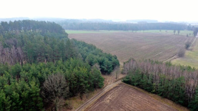 Działka rolna 7600 m2 Kocioł Duży - Kocioł Duży   -
warmińsko-mazurskie Zdjęcie nr 4