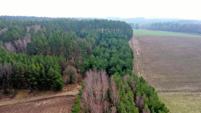 Działka rolna 7600 m2 Kocioł Duży - Kocioł Duży   -
warmińsko-mazurskie Zdjęcie nr 5