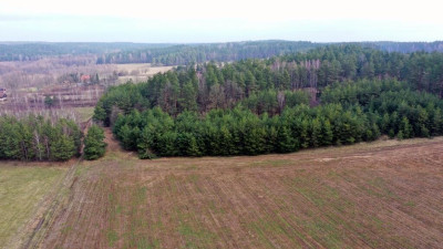 Działka rolna 7600 m2 Kocioł Duży - Kocioł Duży   -
warmińsko-mazurskie Zdjęcie nr 7