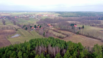 Działka rolna 7600 m2 Kocioł Duży - Kocioł Duży   -
warmińsko-mazurskie Zdjęcie nr 8