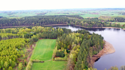 Działka z linią brzegową na półwyspie - Sucholaski - Sucholaski   -
warmińsko-mazurskie Zdjęcie nr 2