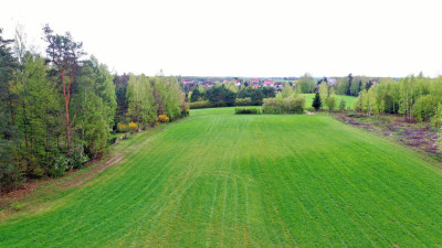 Działka z linią brzegową na półwyspie - Sucholaski - Sucholaski   -
warmińsko-mazurskie Zdjęcie nr 6