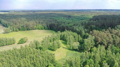 Atrakcyjne działki z potencjałem w Harszu - Harsz   -
warmińsko-mazurskie Zdjęcie nr 11