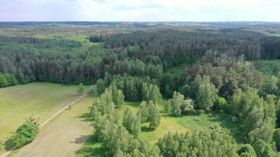 Atrakcyjne działki z potencjałem w Harszu - Harsz   -
warmińsko-mazurskie Zdjęcie nr 4