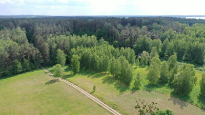 Atrakcyjne działki z potencjałem w Harszu - Harsz   -
warmińsko-mazurskie Zdjęcie nr 5