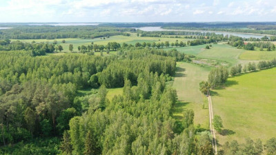 Atrakcyjne działki z potencjałem w Harszu - Harsz   -
warmińsko-mazurskie Zdjęcie nr 9