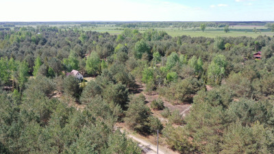 Działka rekreacyjna - Mącice   -
mazowieckie Zdjęcie nr 2