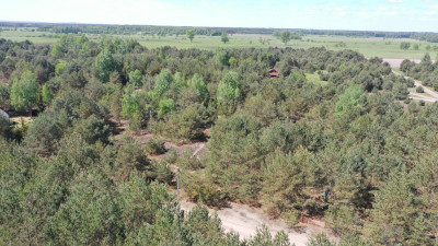 Działka rekreacyjna - Mącice   -
mazowieckie Zdjęcie nr 6
