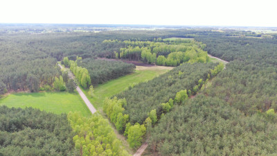 Ostatnia wolna działka - reszta sprzedana - Niksowizna   -
podlaskie Zdjęcie nr 10