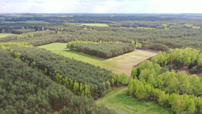 Ostatnia wolna działka - reszta sprzedana - Niksowizna   -
podlaskie Zdjęcie nr 11