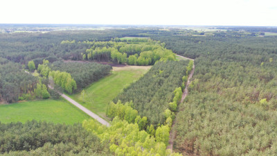 Ostatnia wolna działka - reszta sprzedana - Niksowizna   -
podlaskie Zdjęcie nr 9