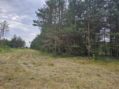 Laskowiec-przepiękne miejsce na Twój dom - Laskowiec   -
mazowieckie Zdjęcie nr 10