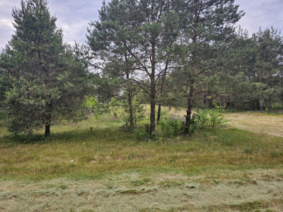 Laskowiec-przepiękne miejsce na Twój dom - Laskowiec   -
mazowieckie