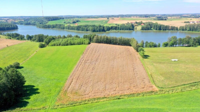 Działki z linią brzegową jeziora Wojnowo - Miłki   -
warmińsko-mazurskie Zdjęcie nr 4