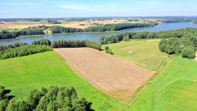 Działki z linią brzegową jeziora Wojnowo - Miłki   -
warmińsko-mazurskie Zdjęcie nr 5