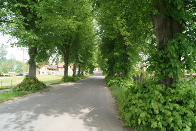 Działka obok rzeki w Krutyni 1220 ha - Krutyń   -
warmińsko-mazurskie Zdjęcie nr 6