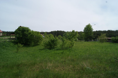 Działka obok rzeki w Krutyni 1220 ha - Krutyń   -
warmińsko-mazurskie Zdjęcie nr 8
