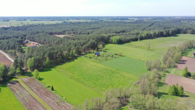 Działka rekreacyjna w Puszczy Kurpiowskiej - Wydmusy   -
mazowieckie Zdjęcie nr 3