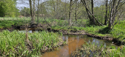 Działka rekreacyjna w Puszczy Kurpiowskiej - Wydmusy   -
mazowieckie Zdjęcie nr 7