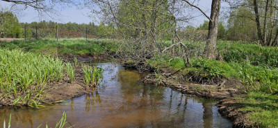 Działka rekreacyjna w Puszczy Kurpiowskiej - Wydmusy   -
mazowieckie Zdjęcie nr 8