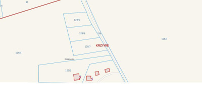 Działki budowlane na Mazurach jedyne i ostatnie - Krzywe   -
warmińsko-mazurskie Zdjęcie nr 2