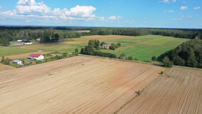 Działki pod Twoją inwestycję - Przytuły   -
podlaskie Zdjęcie nr 7