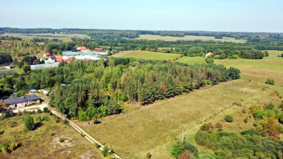 Działka bud Ogonki gm Węgorzewo - Ogonki   -
warmińsko-mazurskie Zdjęcie nr 2