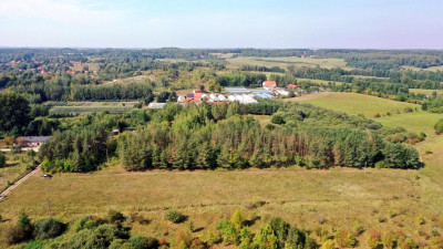 Działka bud Ogonki gm Węgorzewo - Ogonki   -
warmińsko-mazurskie Zdjęcie nr 3