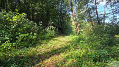 5000 m2 działki budowlanej w malowniczej Jurze - Zdów  -
śląskie Zdjęcie nr 11