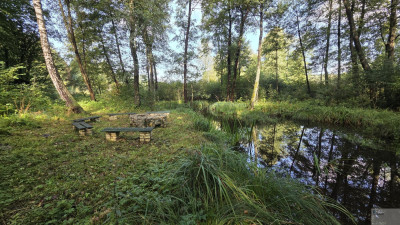 5000 m2 działki budowlanej w malowniczej Jurze - Zdów  -
śląskie Zdjęcie nr 13