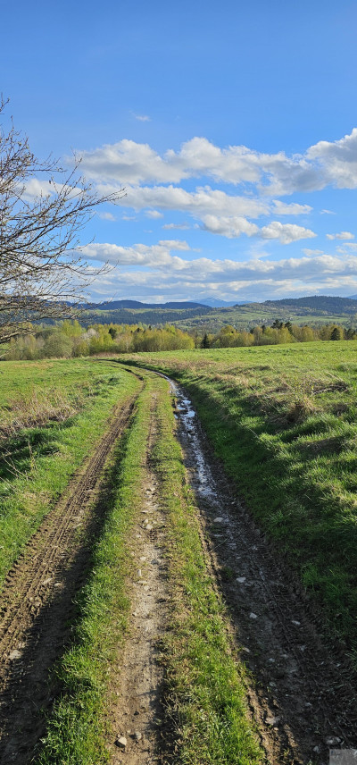 Na skraju wsi z widokiem na Pilsko  - Gilowice  -
śląskie Zdjęcie nr 4