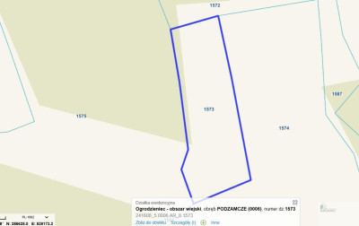 Inwestycja z perspektywą wzrostu wartości - Podzamcze  -
śląskie Zdjęcie nr 3