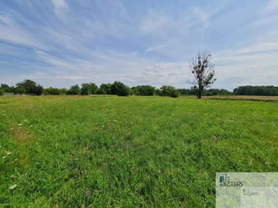 Działka budowlana - Adamów Drwalewski  -
mazowieckie Zdjęcie nr 4