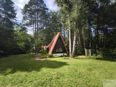 Piękna działka na Szlaku Orlich Gniazd blisko Pustyni Błędowskiej - Klucze  -
małopolskie Zdjęcie nr 2