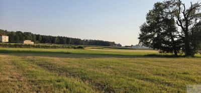 Działka budowlana w Imielinie  miejsce pod lasem na Twój dom - Imielin  -
śląskie Zdjęcie nr 12