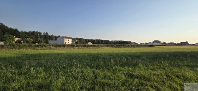 Działka budowlana w Imielinie  miejsce pod lasem na Twój dom - Imielin  -
śląskie Zdjęcie nr 6
