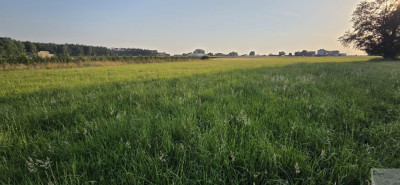 Działka budowlana w Imielinie  miejsce pod lasem na Twój dom - Imielin  -
śląskie Zdjęcie nr 7