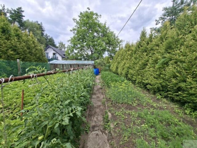 Działka budowlana z oczkiem wodnym - Jaworzno  -
śląskie Zdjęcie nr 8
